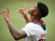 Hércules marcou o gol da vitória do Fluminense sobre o Vitória