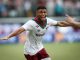 Hércules marcou o gol da vitória do Fluminense sobre o Vitória