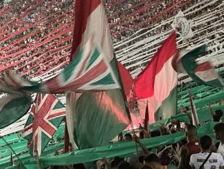 Torcida do Fluminense no Maracanã (Foto: Vinicius Toledo)