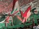 Torcida do Fluminense no Maracanã (Foto: Vinicius Toledo)