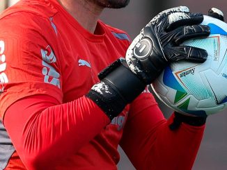 Goleiro Marcelo Lomba renovou com o Palmeiras