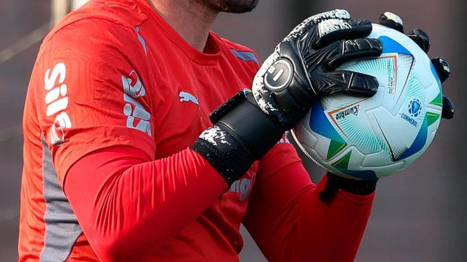 Marcelo Lomba Goleiro Marcelo Lomba renovou com o Palmeiras