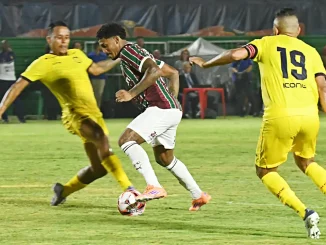 Melhores momentos de Fluminense 2 x 1 Madureira
