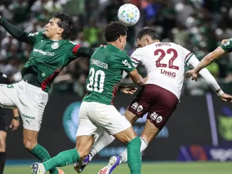 Freytes desabafou sobre o erro da arbitragem em Palmeiras x Fluminense