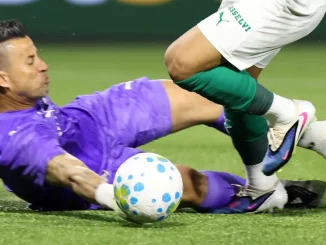 Mauro Cezar apontou pênalti inexistente dado ao Palmeiras