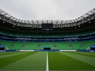 Saiba onde assistir ao vivo o duelo entre Palmeiras e Fluminense pela 4ª rodada do Brasileirão, valendo a liderança da competição.