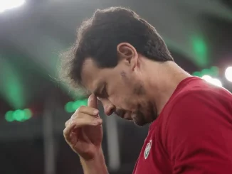 Fernando Diniz está cotado para assumir o comando do Botafogo