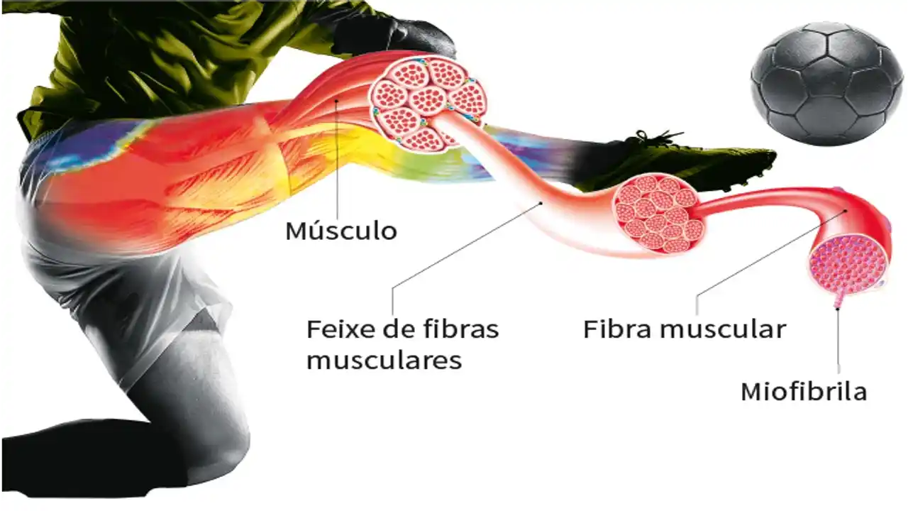 Como os dados de CK e GPS definem a escalação do Fluminense