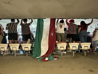 Lindinor Larangeira: "O ano acabou para o Fluminense"