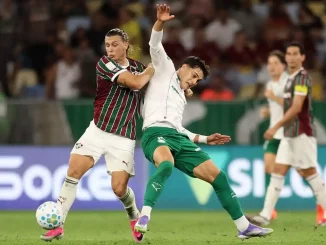 Fluminense encara o Palmeiras nas semifinais da Libertadores