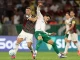 Fluminense encara o Palmeiras nas semifinais da Libertadores