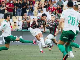 Fluminense x Palmeiras na semifinal da Libertadores 2026