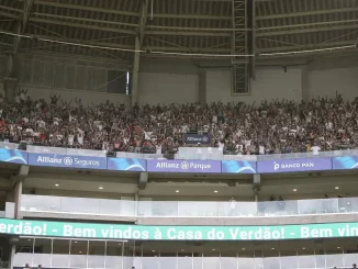 Torcida do Palmeiras está preocupada com a torcida do Fluminense