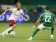 Fluminense foi derrotado nos pênaltis pelo Palmeiras