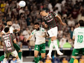 Saíram as notas das atuações de Fluminense 1 x 2 Palmeiras